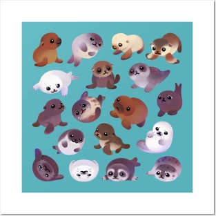 Seal pup Posters and Art